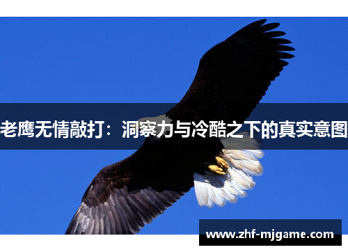 老鹰无情敲打：洞察力与冷酷之下的真实意图